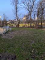 Hundeauslaufgebiet-Rheinpark Heerdt-Bild