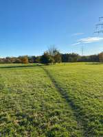 Hundeauslaufgebiet-Rheinpark Neuss-Bild