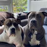 Ersteller:in Ingrid Profilbild