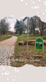 Hundeauslaufgebiet-Elsa-Brändström-Straße-Bild