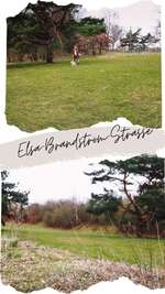 Hundeauslaufgebiet-Elsa-Brändström-Straße-Bild