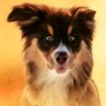 Ersteller:in Birgit Christine Eleonore Profilbild