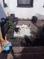 Versicherungs Chancen mit 13 Jahre?-Beitrag-Bild