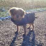 Ersteller:in Steffi Profilbild