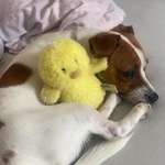 Ersteller:in Valeria Profilbild