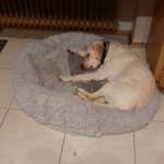 Ersteller:in Jessica Profilbild