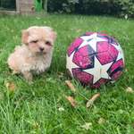 Ersteller:in Nadja Profilbild