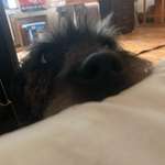 Ersteller:in Lu Profilbild