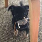 Ersteller:in Ariane Profilbild