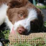 Ersteller:in Carolin Profilbild