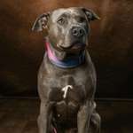 Ersteller:in Daniel Profilbild