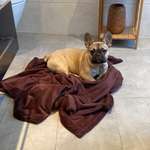 Ersteller:in Sarah Profilbild