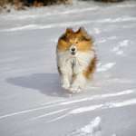 Ersteller:in Sybille Profilbild