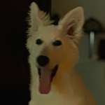 Ersteller:in Anetta Profilbild