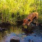 Ersteller:in Céline Profilbild