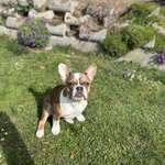 Ersteller:in Denise Profilbild