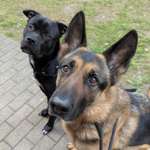 Ersteller:in Jonna Profilbild