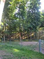 Hundeauslaufgebiet-Städtische Hundefreilauffläche Landau-Bild