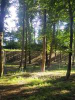 Hundeauslaufgebiet-Städtische Hundefreilauffläche Landau-Bild