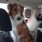 Ersteller:in Daniela Profilbild