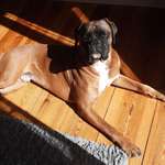 Ersteller:in Heike Profilbild