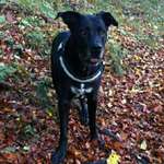 Ersteller:in Christine Profilbild