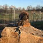 Ersteller:in Marc Profilbild