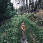 Ersteller:in Rebecca Profilbild