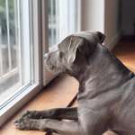 Ersteller:in Alina Profilbild