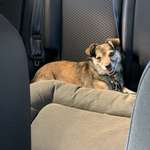 Ersteller:in Sara Profilbild