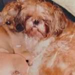 Ersteller:in Claudia Profilbild