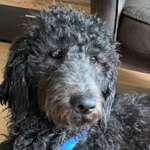 Ersteller:in Marion & Darlyn Profilbild