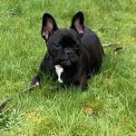 Ersteller:in Nunzio Profilbild