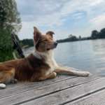 Ersteller:in Anne Profilbild