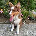 Ersteller:in Sarry Profilbild