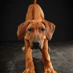 Ersteller:in Michael Profilbild