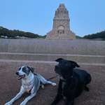 Ersteller:in Lina Profilbild