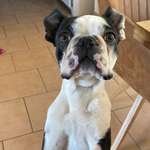 Ersteller:in Christin Profilbild