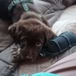 Ersteller:in Judith Profilbild