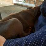 Ersteller:in Kerstin Profilbild