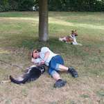 Ersteller:in Dennis Profilbild