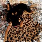 Ersteller:in Inga Profilbild