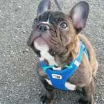 Ersteller:in Peggy Profilbild