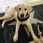 Ersteller:in Daniela Profilbild