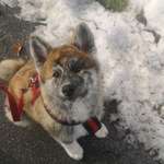 Ersteller:in Simon Profilbild