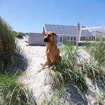 Ersteller:in Claudia Profilbild