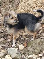 Suchmeldung-Minne-Bild