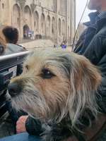 Suchmeldung-Minne-Bild