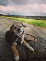 Suchmeldung-Minne-Bild