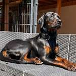 Ersteller:in Laura Profilbild